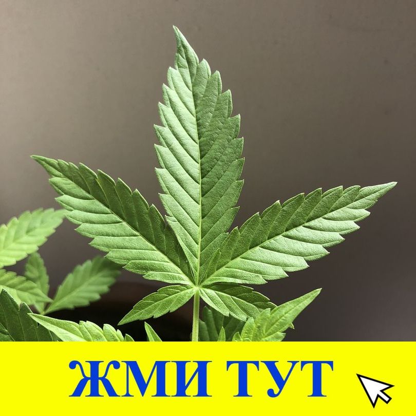 Купить наркотики в Уссурийске